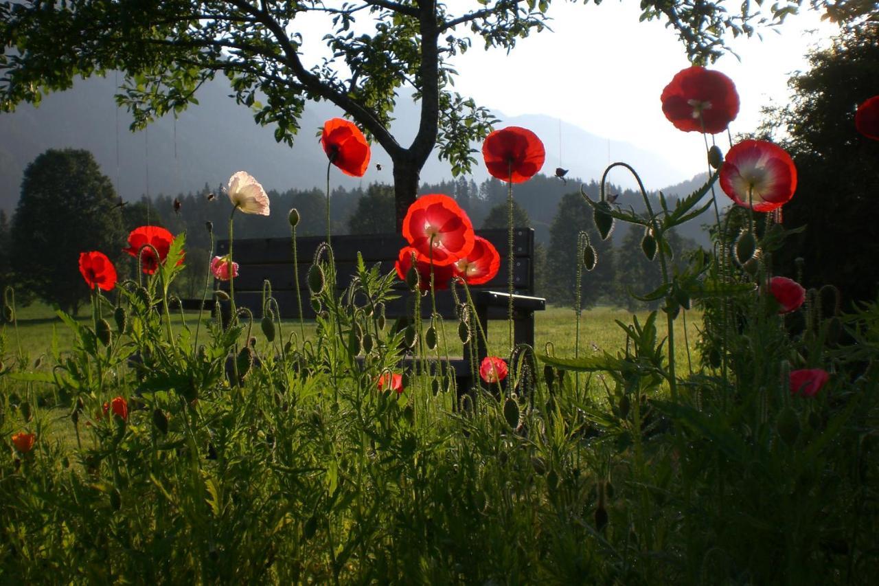 Pension Moeslehnerhof Ramsau am Dachstein Ngoại thất bức ảnh