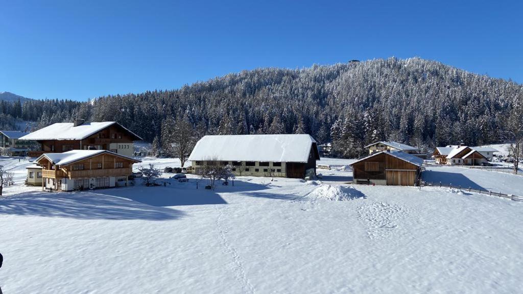 Pension Moeslehnerhof Ramsau am Dachstein Ngoại thất bức ảnh