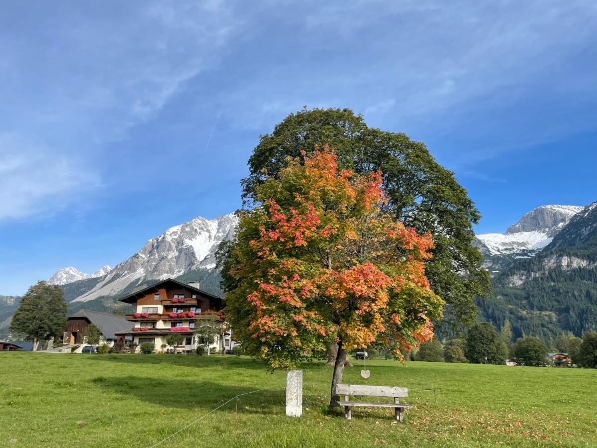 Pension Moeslehnerhof Ramsau am Dachstein Ngoại thất bức ảnh